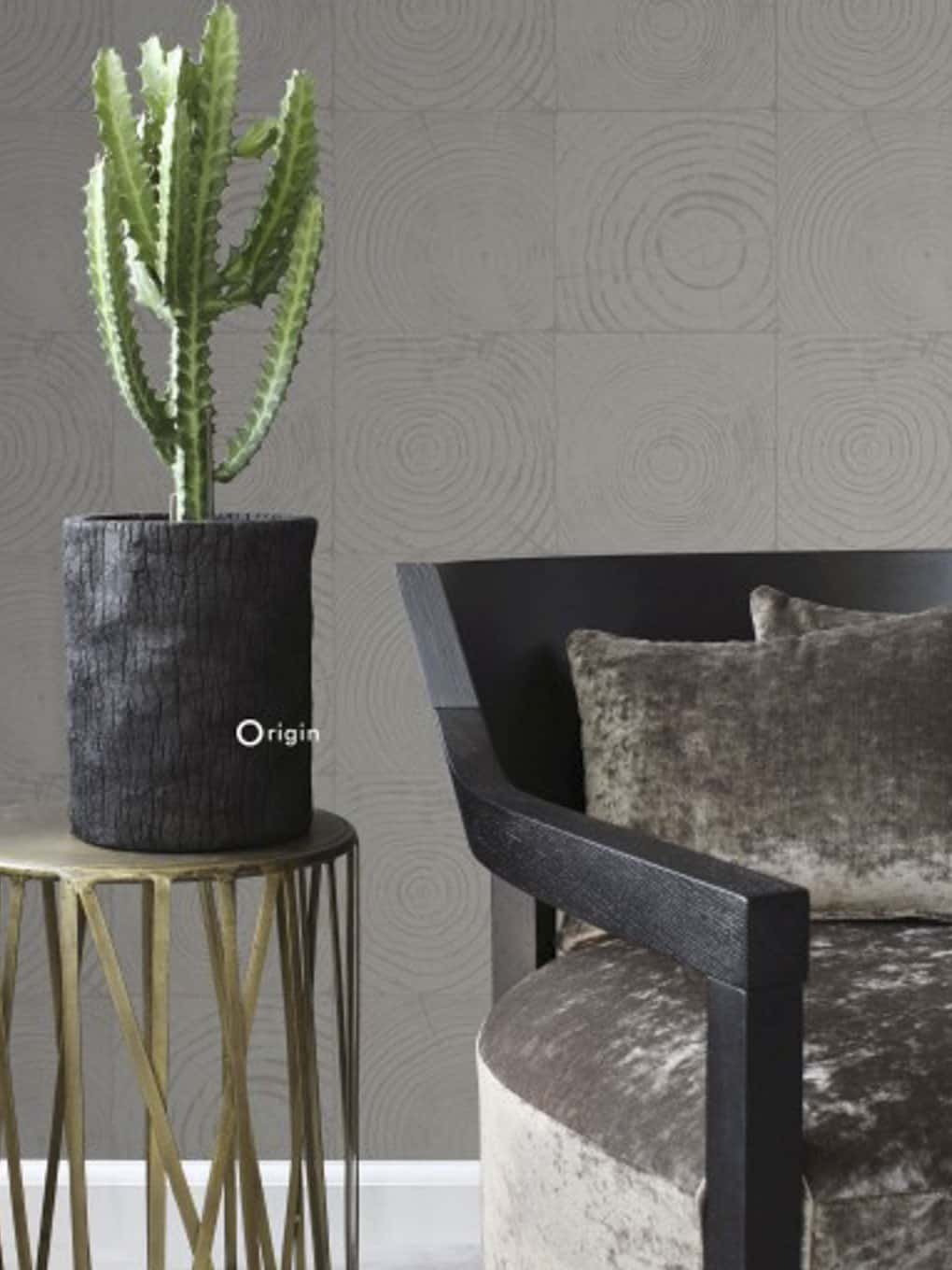 Tall green cactus in black textured pot on gold stand.