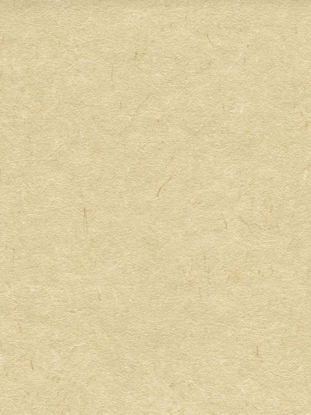 Elegant textured paper background for interior decor and design projects.