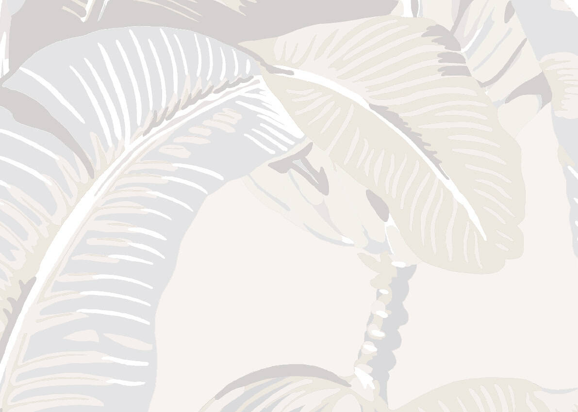 Elegant Hinsan Palm decorative plant for home decor.