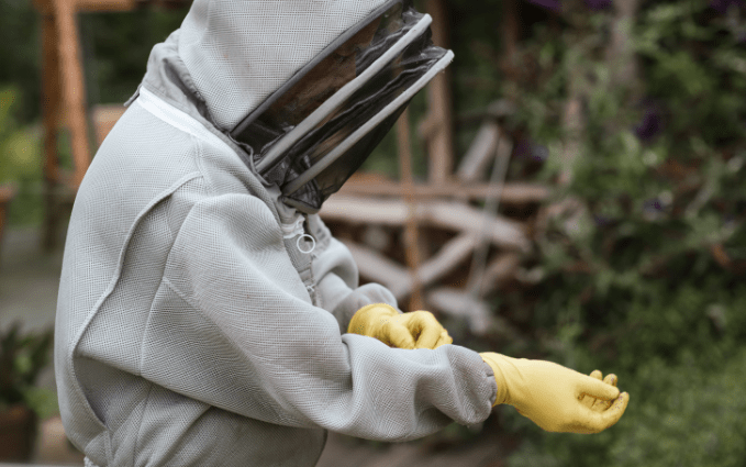 Beekeeper wearing protective suit and nitrile gloves.