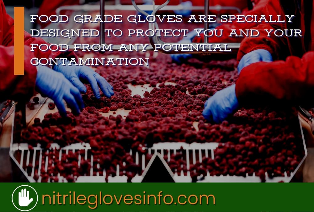 Workers wearing food-grade gloves handle raspberries on a conveyor belt. Nitrile gloves protect food from contamination.