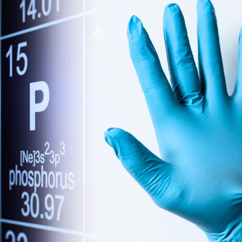 Gloved hand pointing to periodic table's phosphorus (P) element.