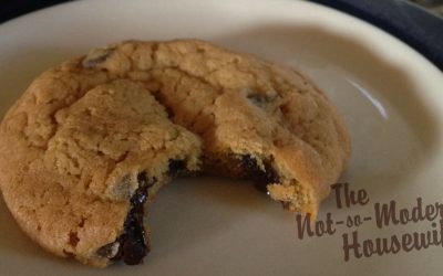 Gooey Chocolate Chip Cookies