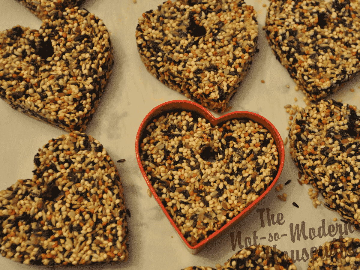 Easy DIY Birdseed Ornaments | The Not so Modern Housewife easy DIY birdseed ornaments made with a red heart shaped cookie cutter