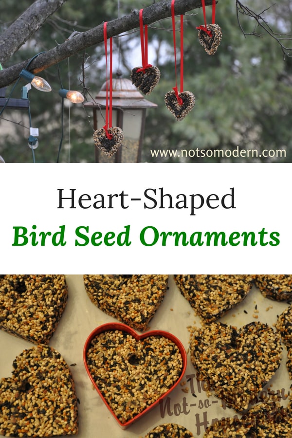 Easy DIY Birdseed Ornaments | The Not so Modern Housewife heart-shaped birdseed ornaments hang outside on red ribbons - create easy DIY birdseed ornaments to feed songbirds in your yard