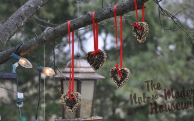 Easy DIY Birdseed Ornaments