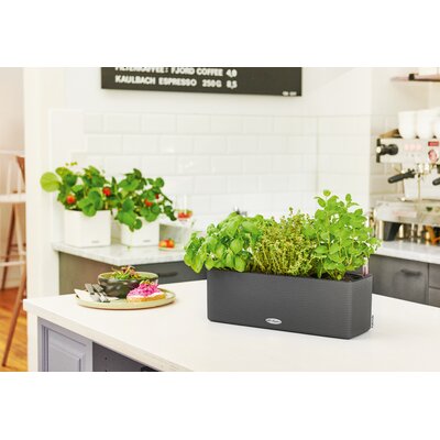 10 Best Planters for Your Container Garden | The Not so Modern Housewife Best Planters for Your Container Garden - Planter Boxes
