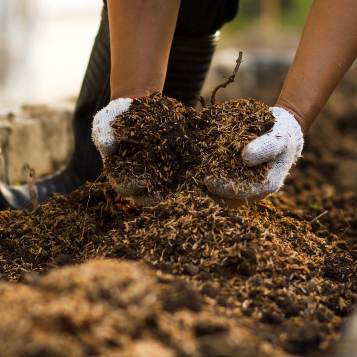 Feeding Your Soil: The Surprising Truth about No-Till Lasagna Gardening | The Not so Modern Housewife Building the soil for the lasagna garden