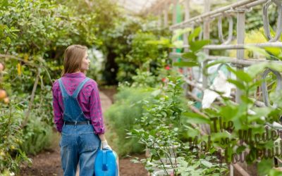 6 Critical Benefits of Self Sufficiency for Your Life
