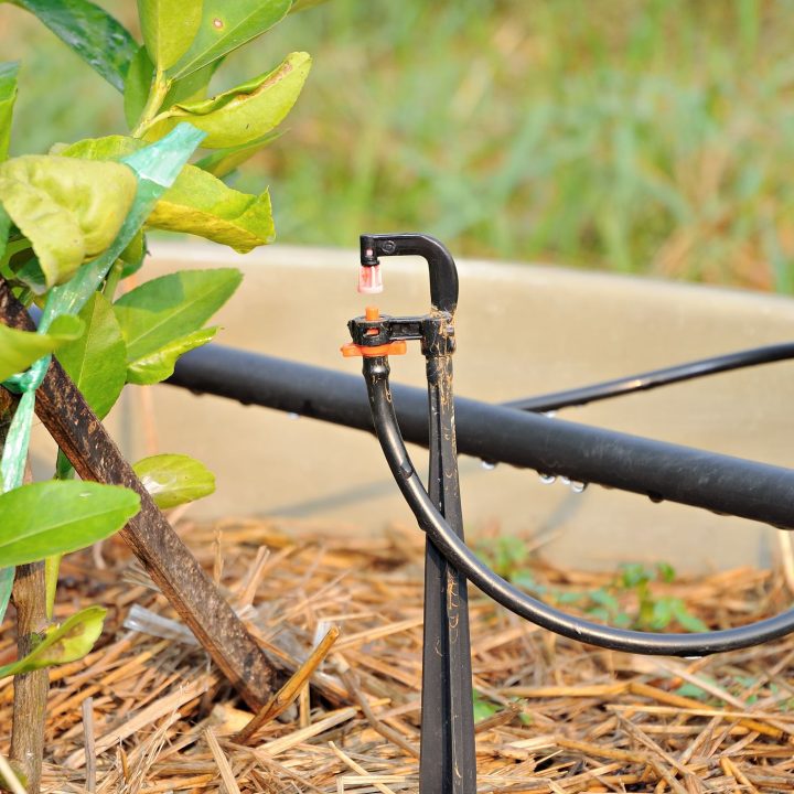 4 Brilliant Self Watering System for Pots That Make Gardening Easy | The Not so Modern Housewife a sprinkler with a hose attached to a plant - micro sprayer for outdoor garden - self watering system for pots