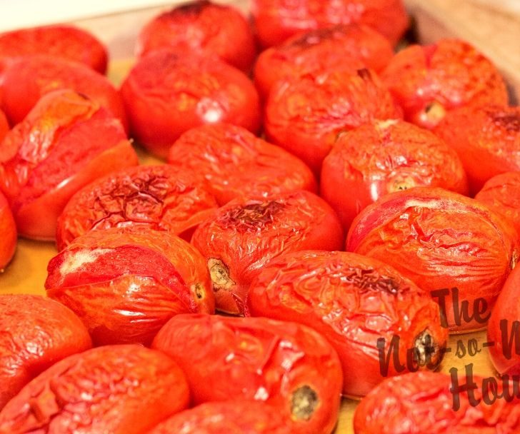 Delicious Restaurant Style Homemade Salsa Recipe with 4 Tips for Water Bath Canning | The Not so Modern Housewife roasted roma tomatoes used for homemade salsa recipe