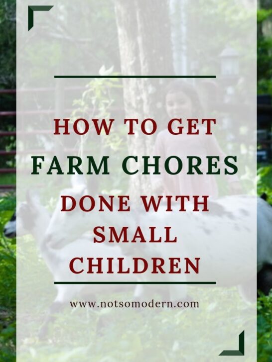 How to Get Farm Chores Done When You Have Small Children | The Not so Modern Housewife How to get farm chores done with small children