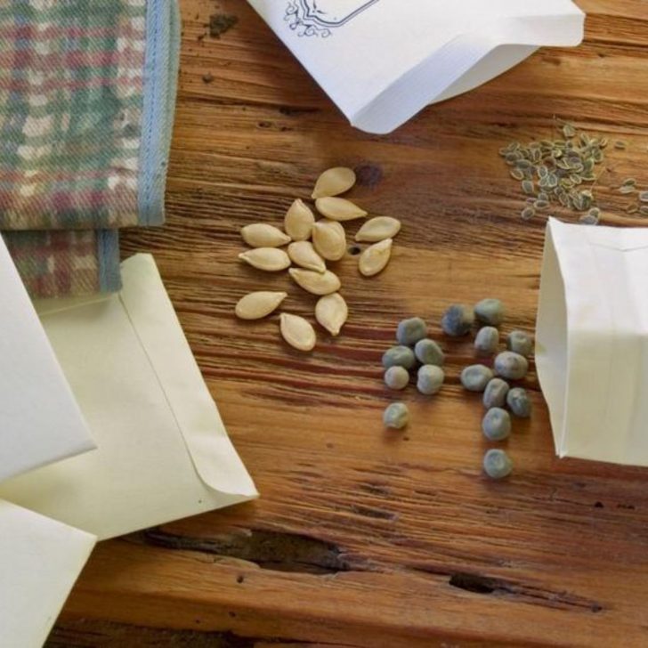 10 Tips for Growing an Amazing Homestead Garden | The Not so Modern Housewife garden seeds - choose the right seeds for your homestead garden