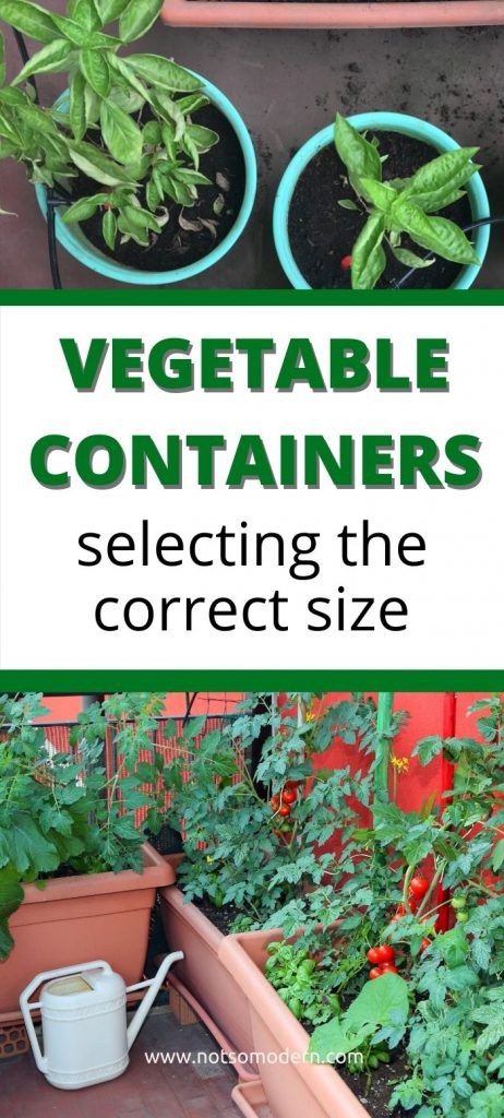 4 Steps to Selecting the Perfect Containers for Vegetable Gardening | The Not so Modern Housewife how to select the perfect containers for vegetable gardening
