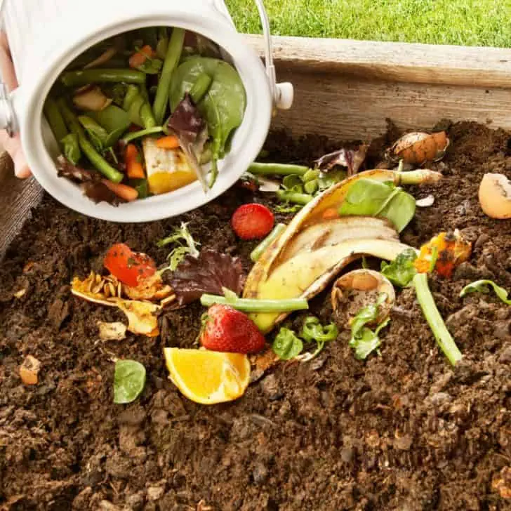How to Compost: 6 Easy Steps to Create Your Own Compost Heap at Home | The Not so Modern Housewife kitchen scraps in compost bin - how to compost - understanding the basics of composting