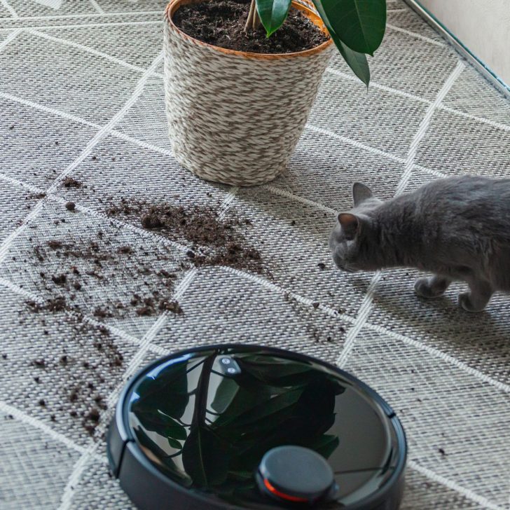 60+ Unexpected Christmas Gift Ideas for Housewives That They Will Truly Cherish | The Not so Modern Housewife robot vacuum cleaning up carpet with spilled dirt from gray cat - Christmas gift ideas for housewives
