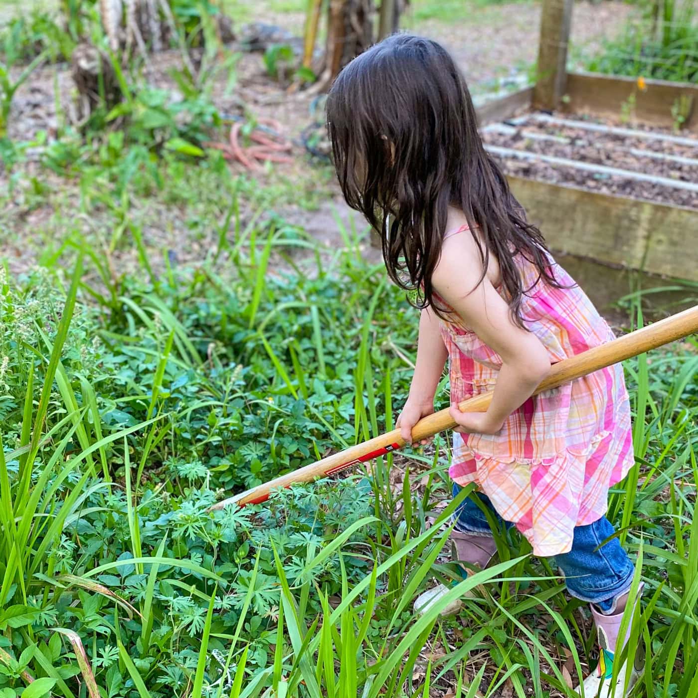 Florida Summer Planting Guide: 7 Smart Crops That Thrive in the Heat | The Not so Modern Housewife Young girl working in an overgrown garden bed with a hoe, helping with weeding as part of family gardening activities featured in the Florida Summer Planting Guide.