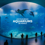 Grands aquariums français avec raies manta et requins