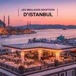 Coucher de soleil sur les toits d'Istanbul et le Bosphore