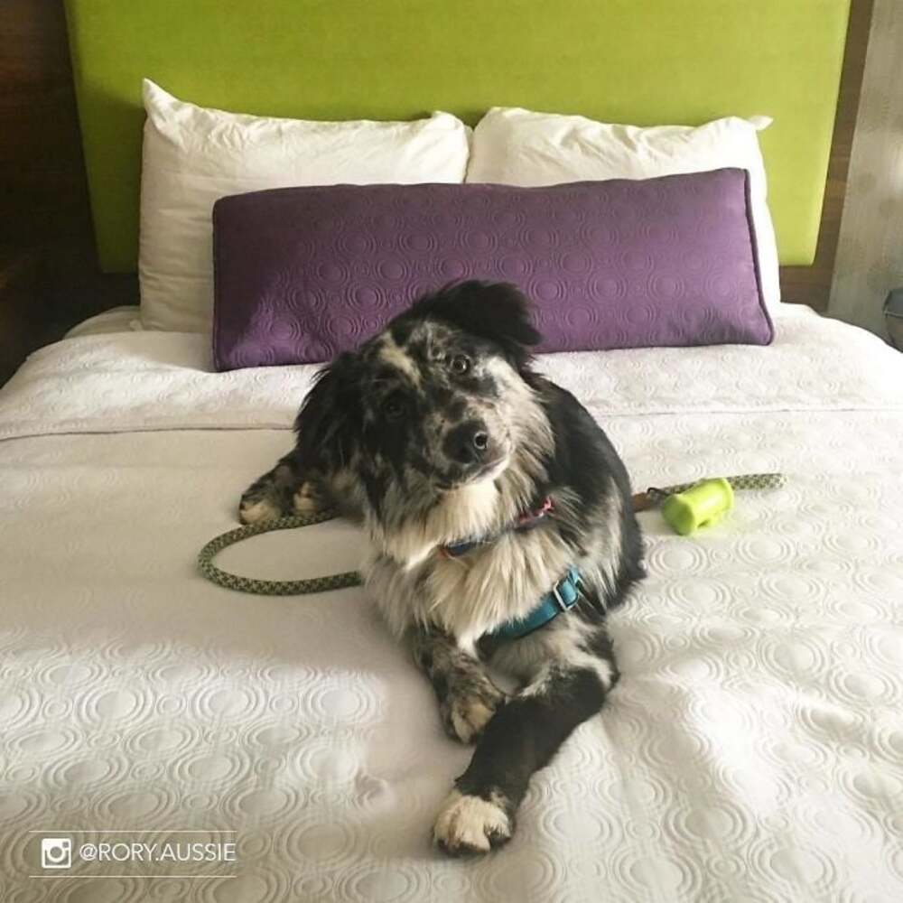 histoire de compassion