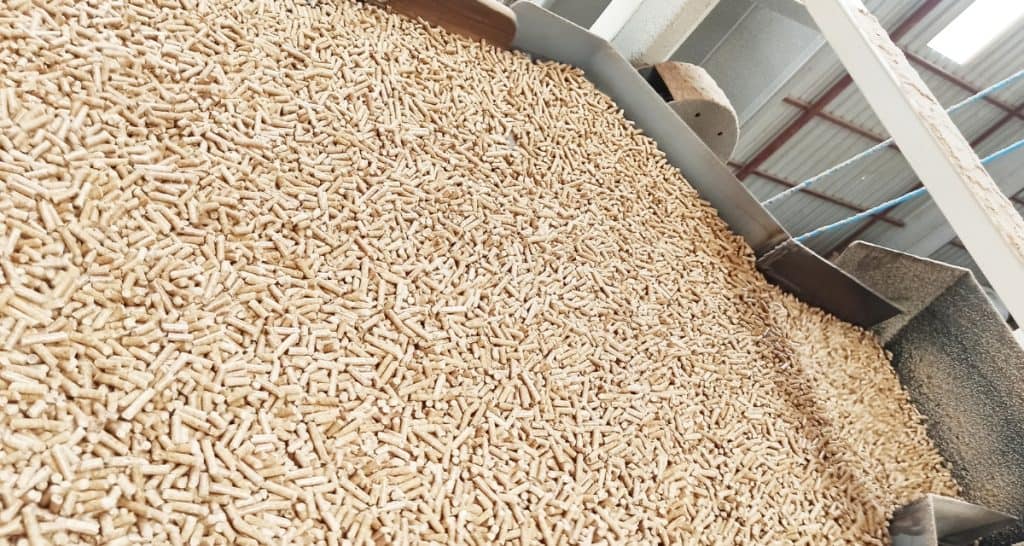 Feed Production Pellets Showing lamb grain pellets in bulk during feed production process