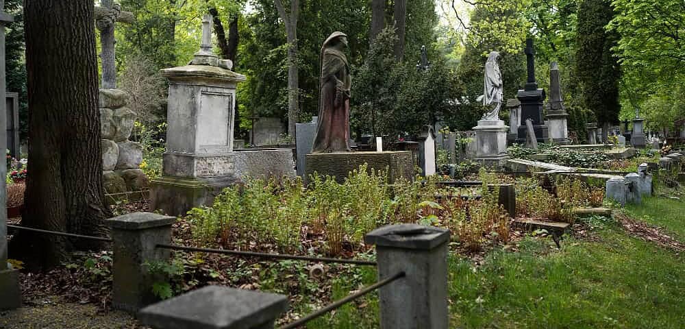 Tumulazione Cimitero Monumentale