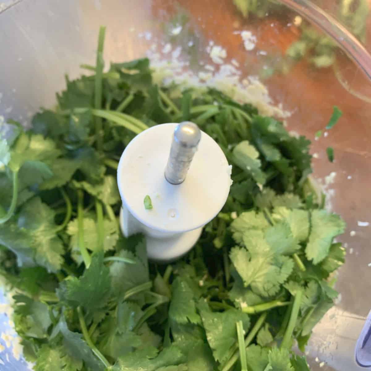 Cilantro in the food processor.