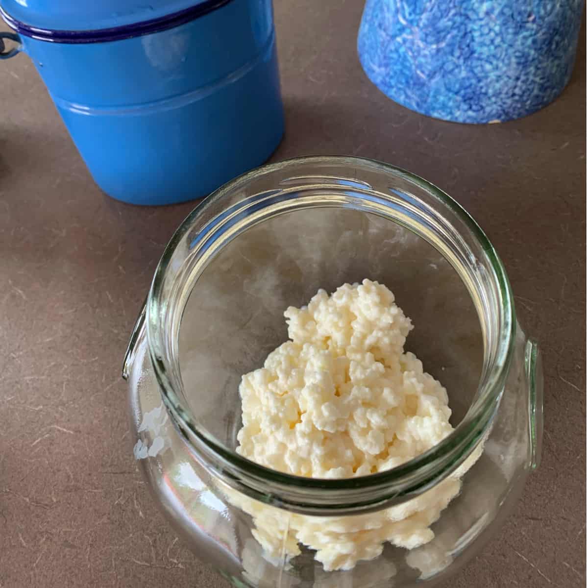 Kefir grains in a glass jar.