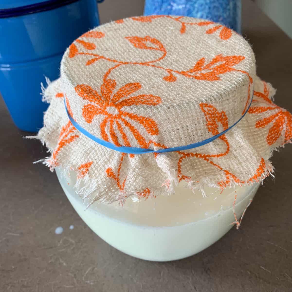 Glass jar covered with cheese cloth.