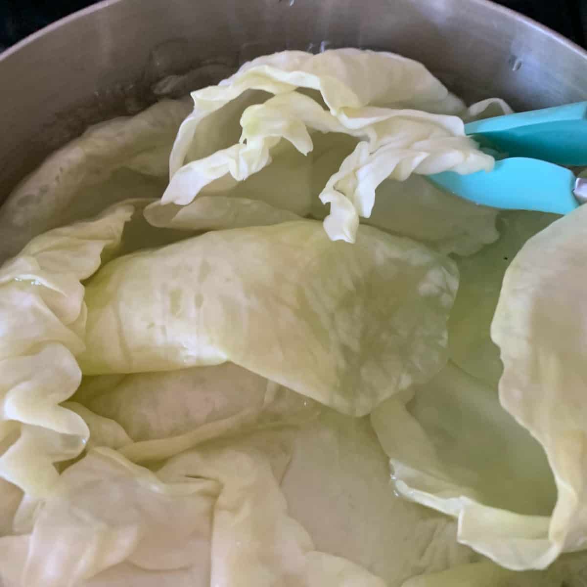 Blanching the cabbage.