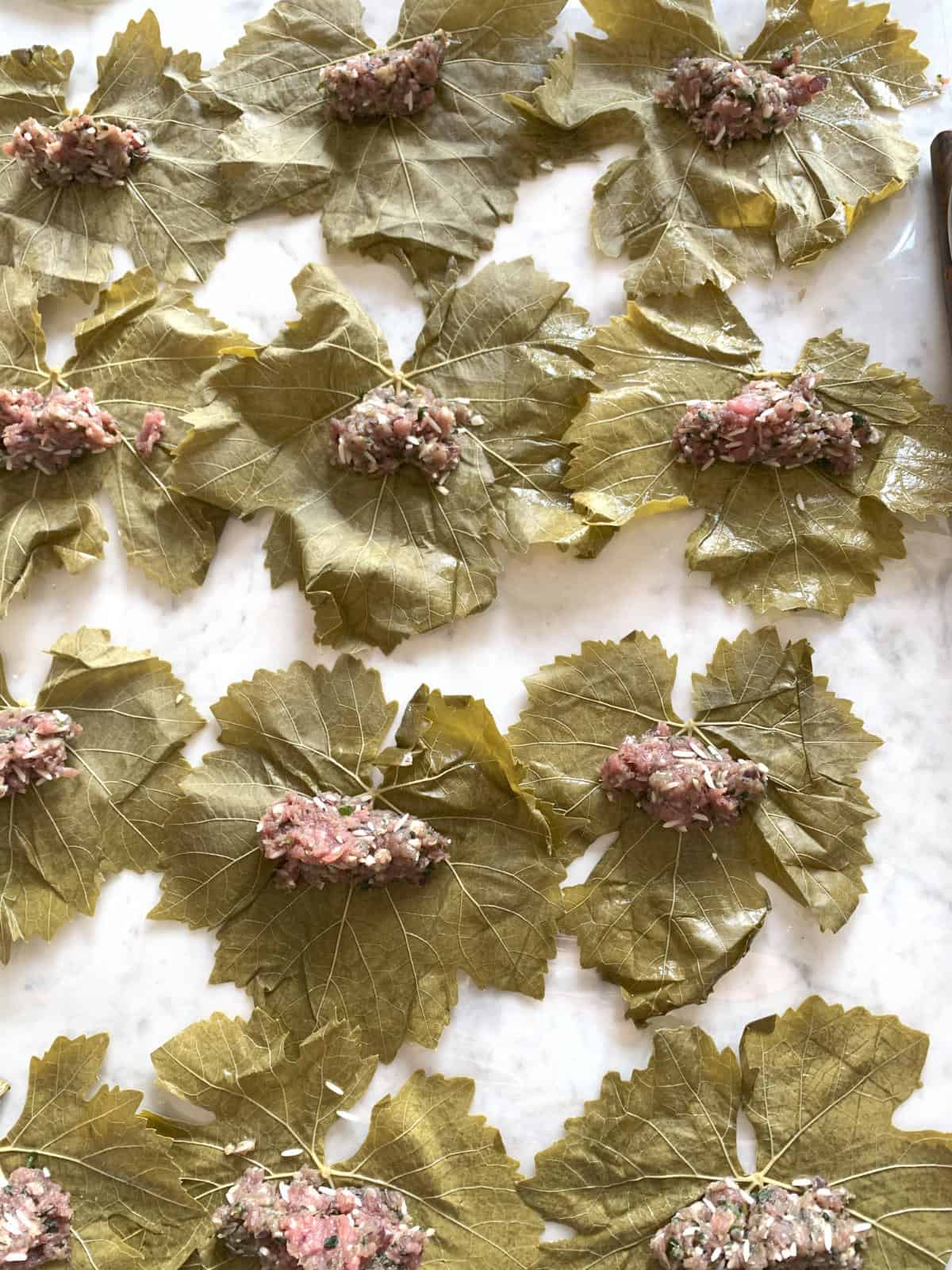 Meat mixture on a grape leaves.