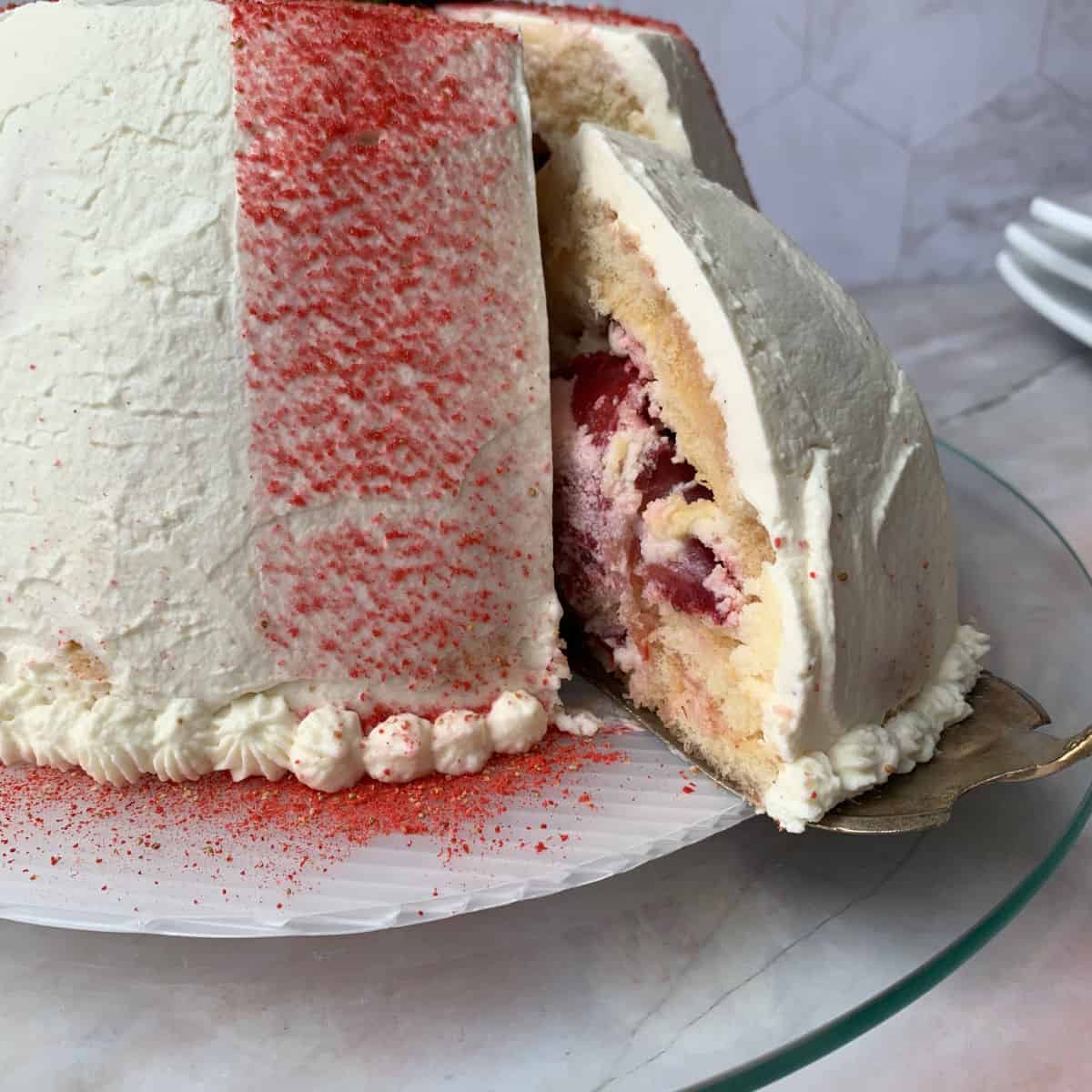 Cake slice on serving spatula.