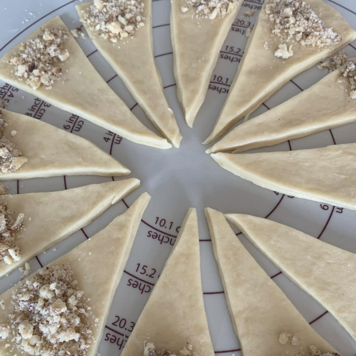 Divided circle into twelve wedges.