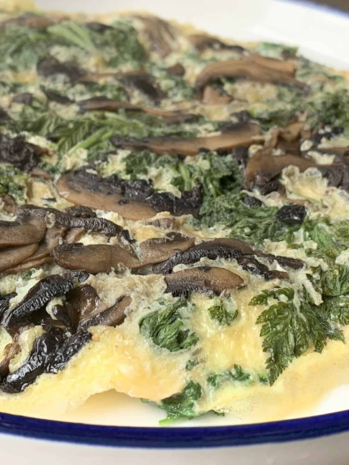 a close up of a omelette with shushan.
