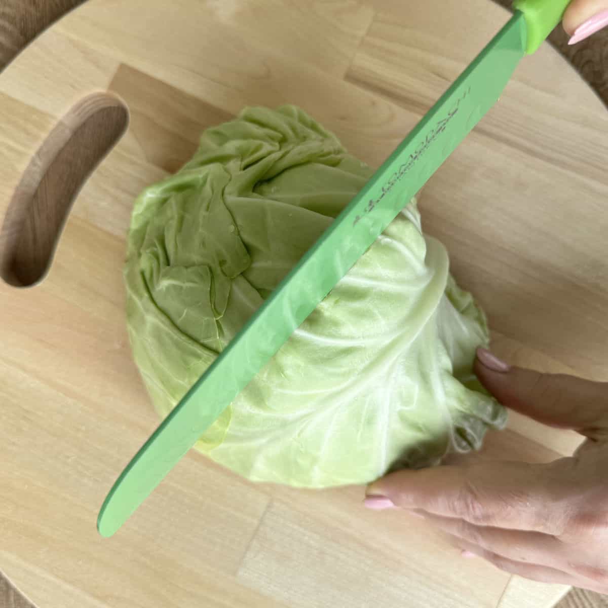 Cutting the young cabbage.
