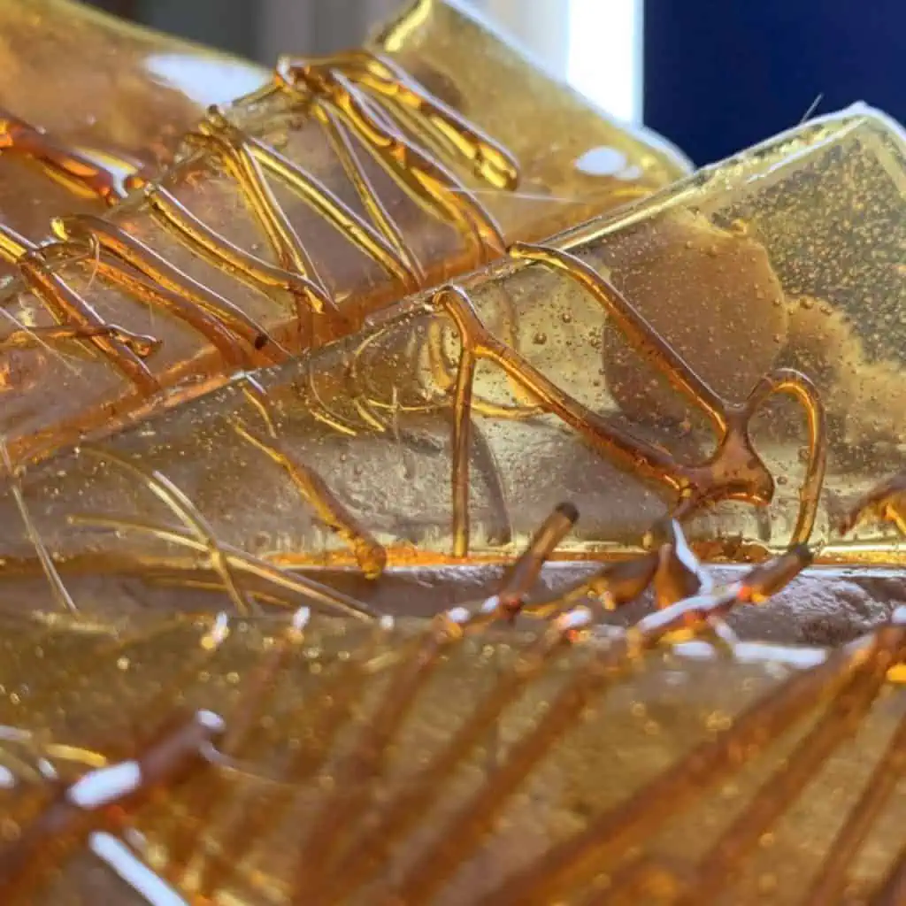 Closeup shot for cake with option 1.