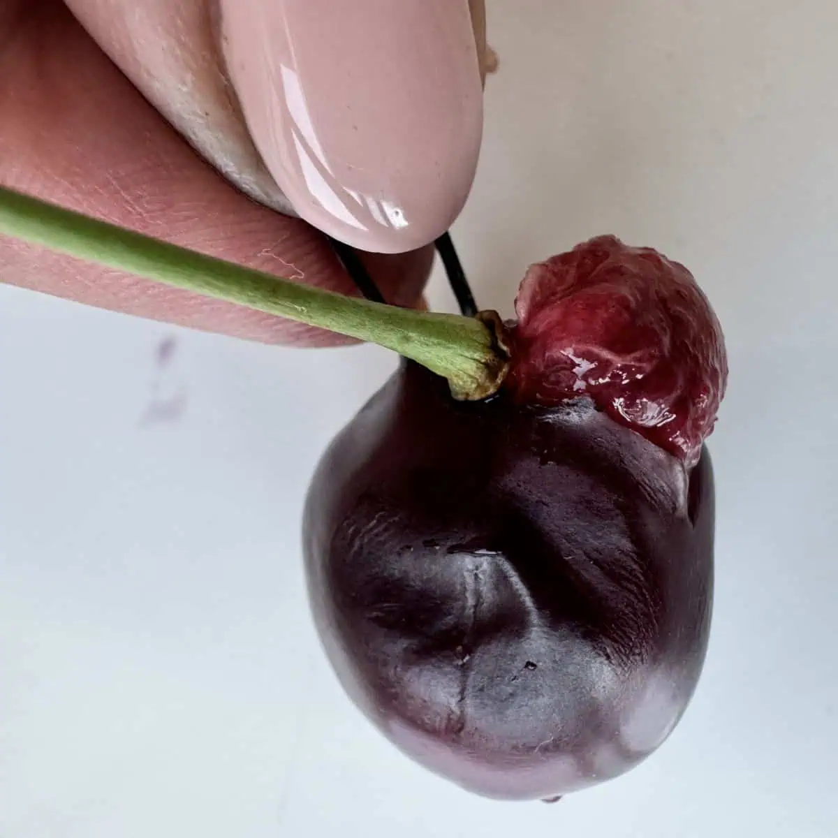 Pitting the cherry with a hair pin.