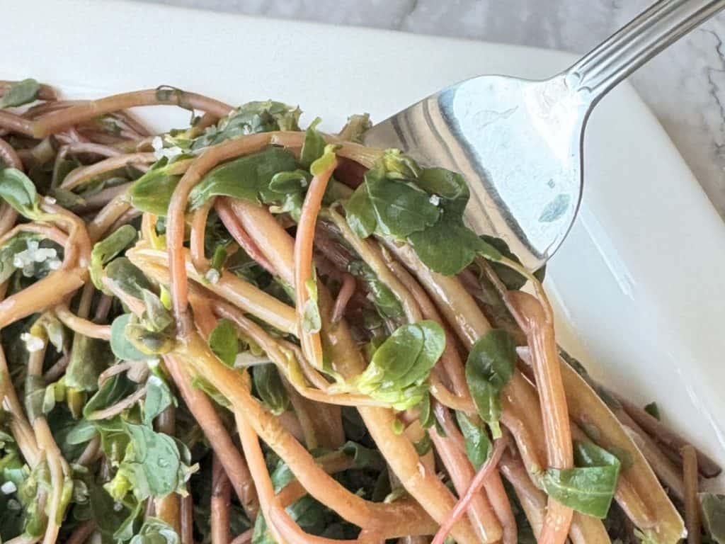 Wilted purslane salad on fork.