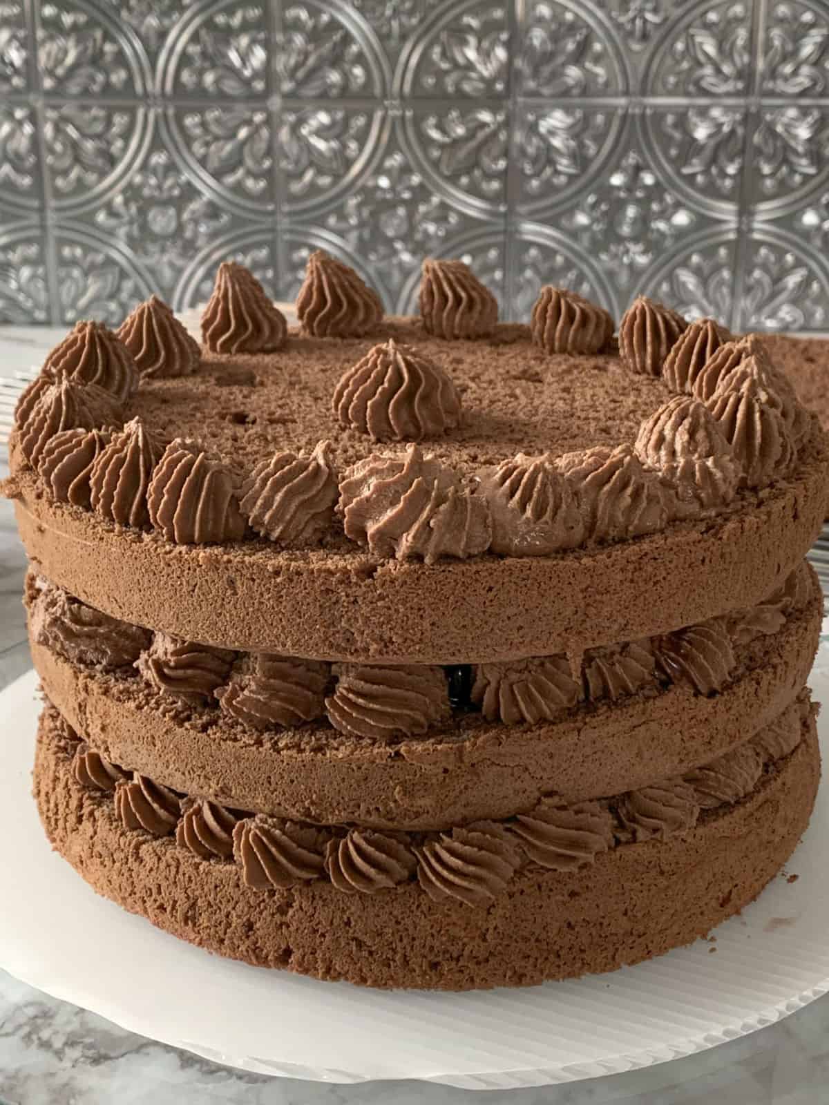 Assembling black forest cake.