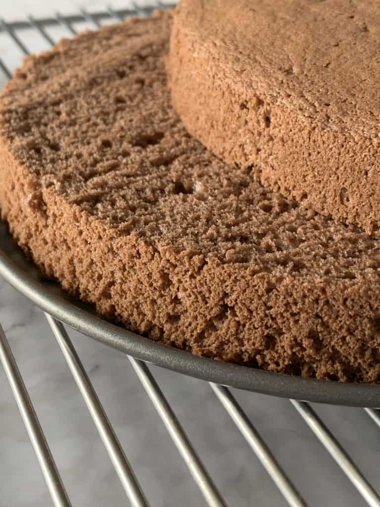 Making chocolate sponge cake process.