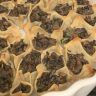 Close-up shot of mushroom manti