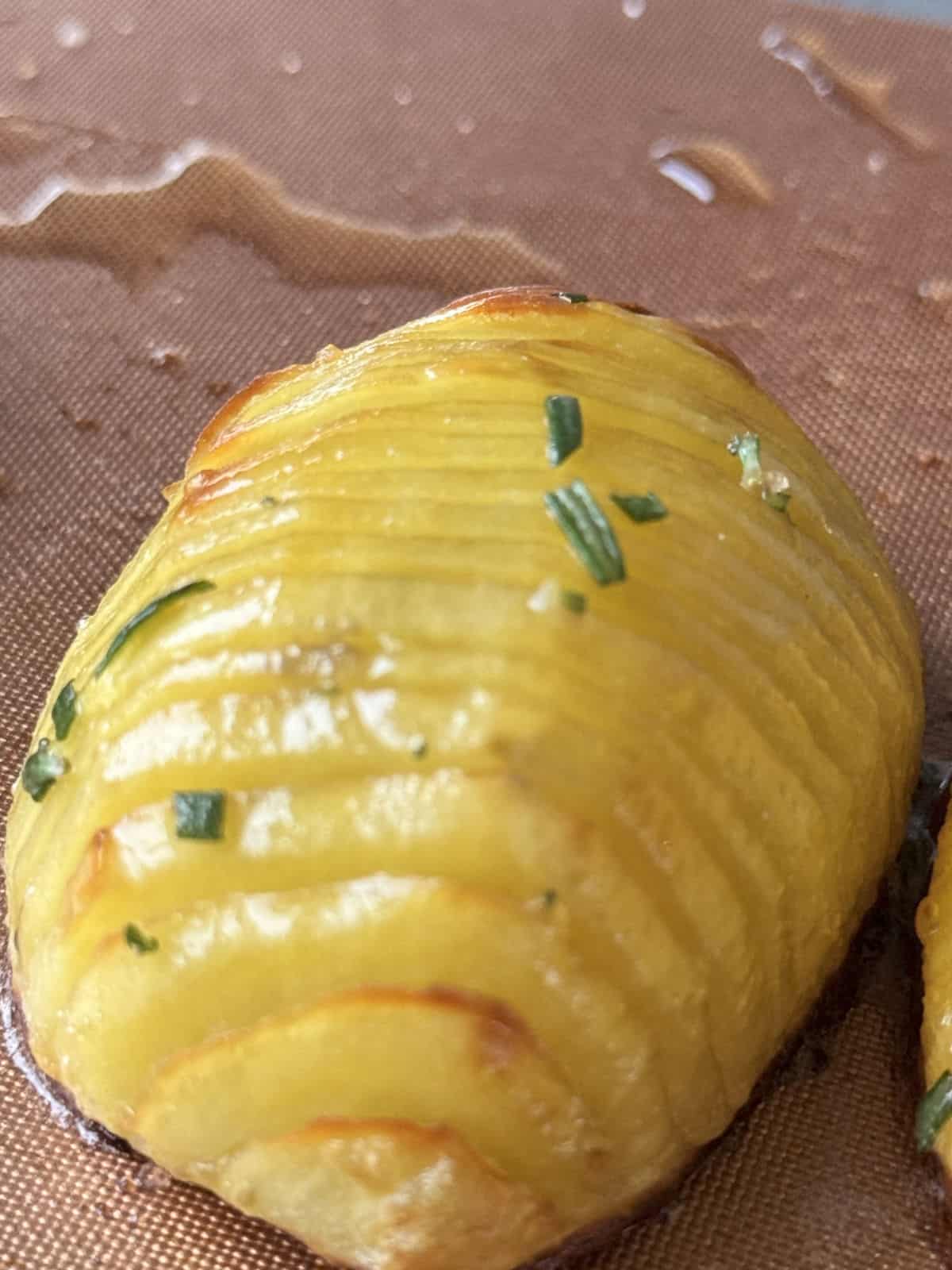 Close-up shot of a single potato.
