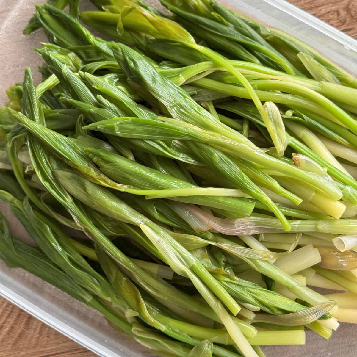 Blanched solomon seal in a container.