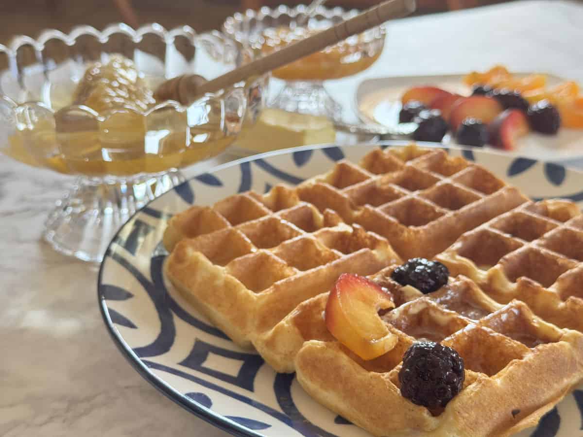 Close-up shot of a kefir waffles with berries and honey.