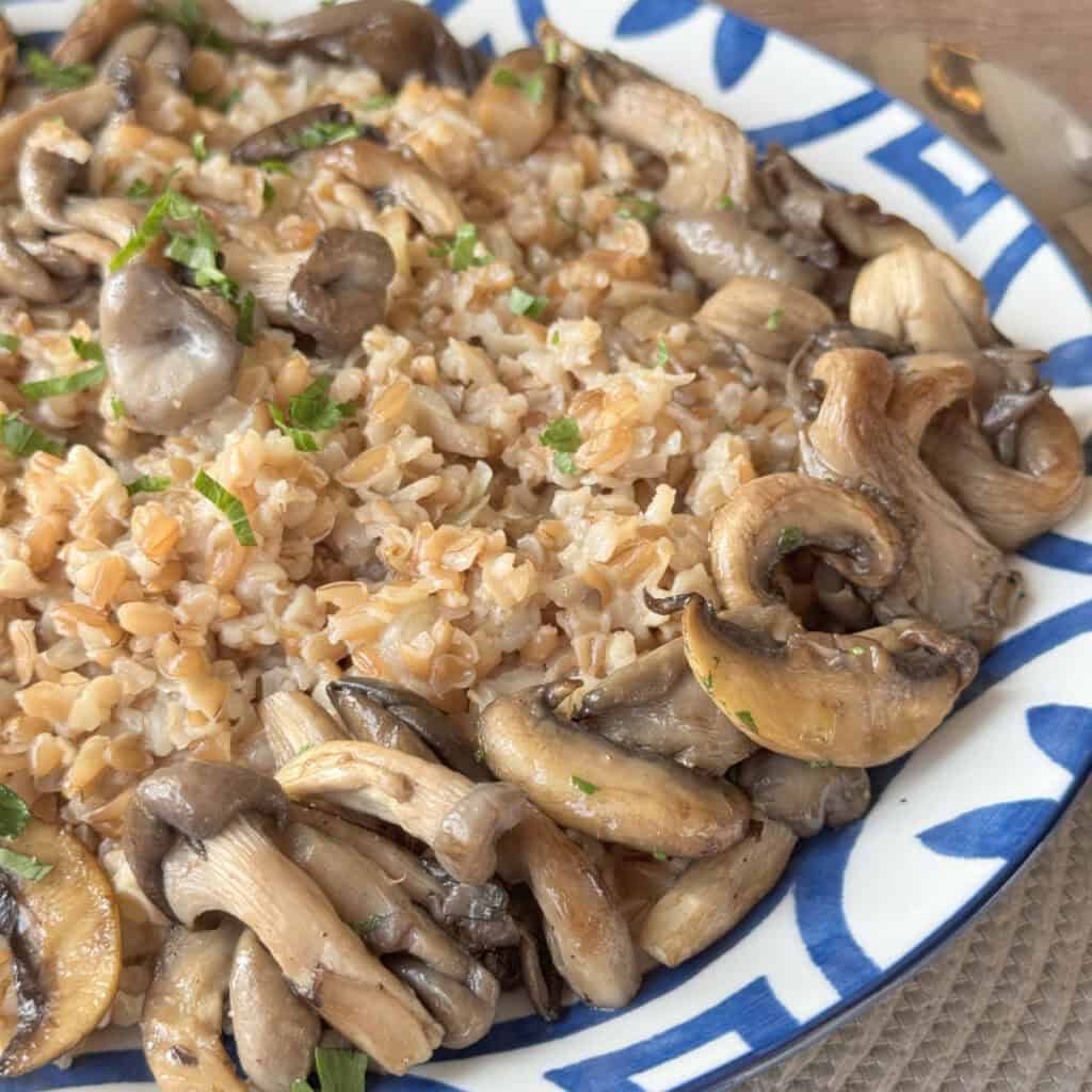 Side view of a farrow with mushroom pilaf on a blue plate.