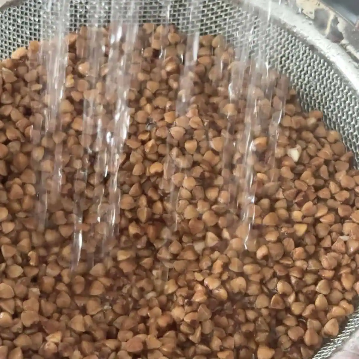 Washing the bukhwheat kernel.