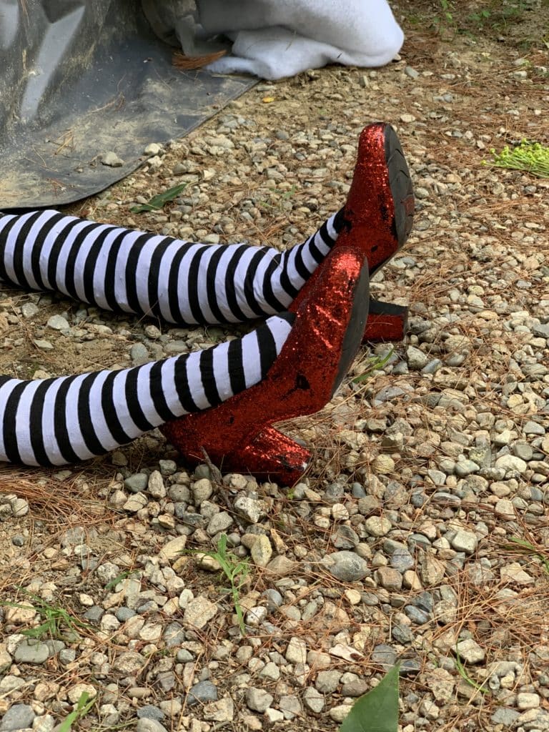 halloween camping wizard of oz theme