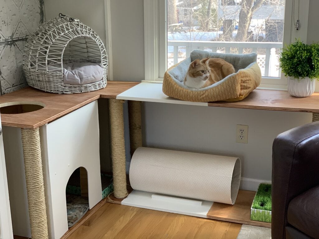 DIY cat furniture including cat house, tunnel, and beds