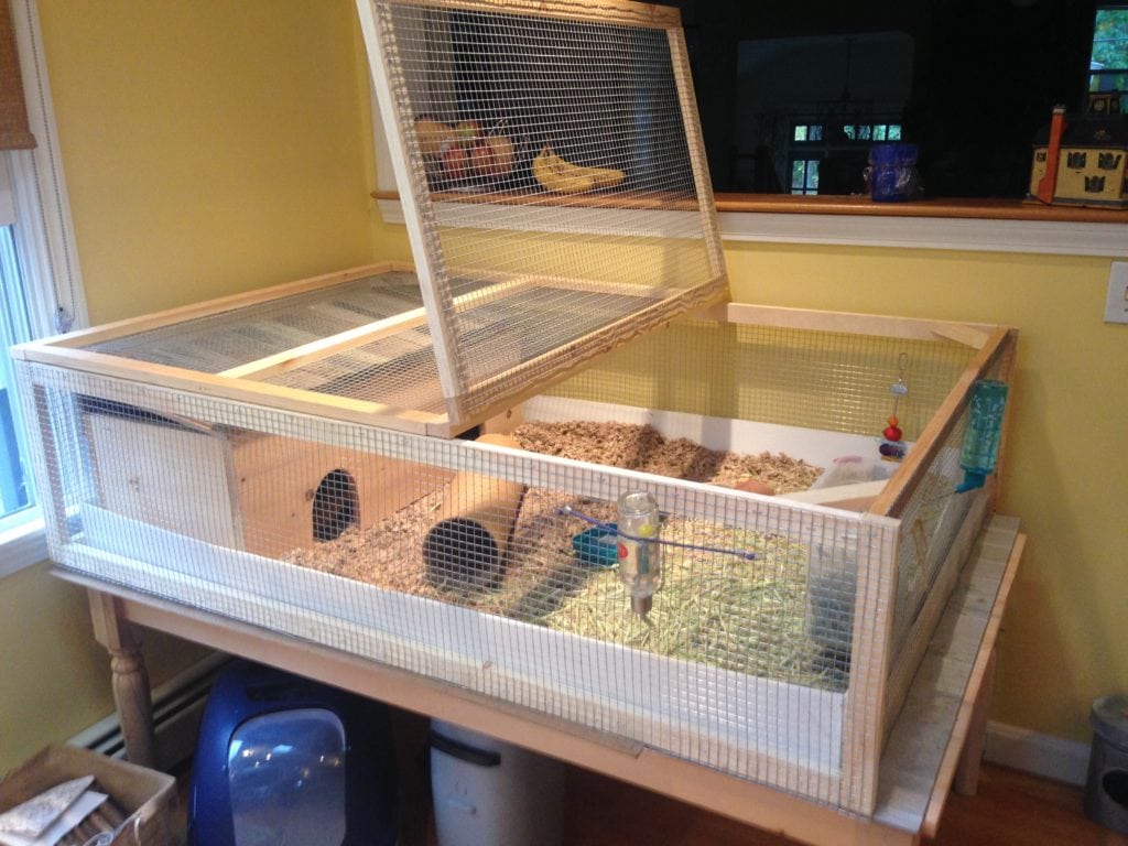 farmhouse styled table used to hold a very large guinea pig cage