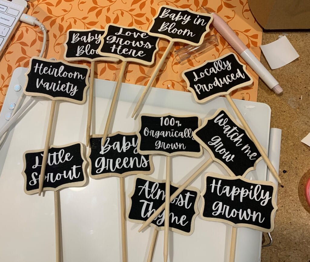 Plant stakes for a garden themed baby shower for centerpieces.  